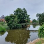 20230710_110325 (Middel)