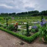 20230710_111205 (Middel)