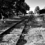 20230710_195443 (Middel)