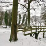 Park9